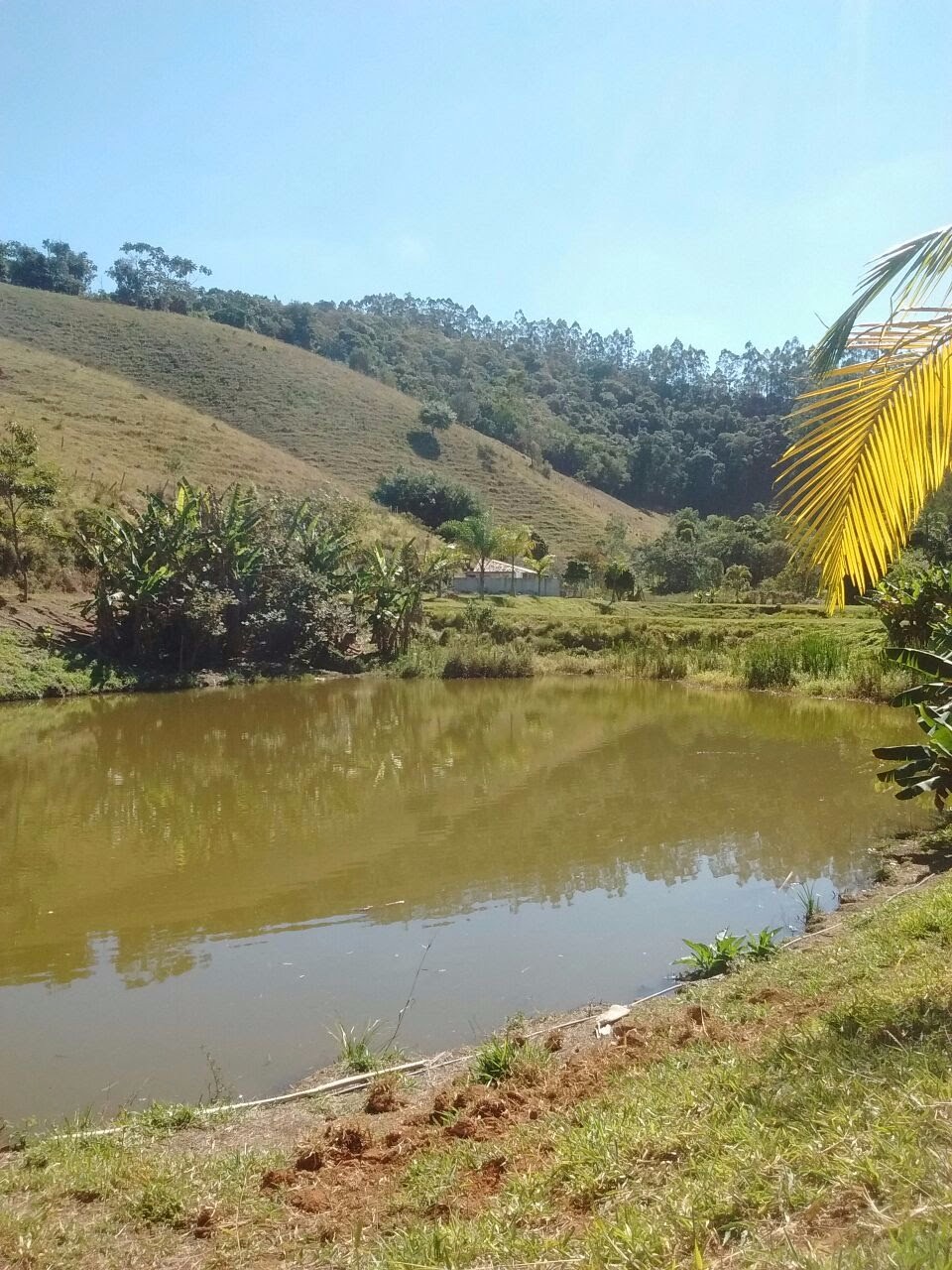 Sítio de 29 ha em Paraibuna, SP