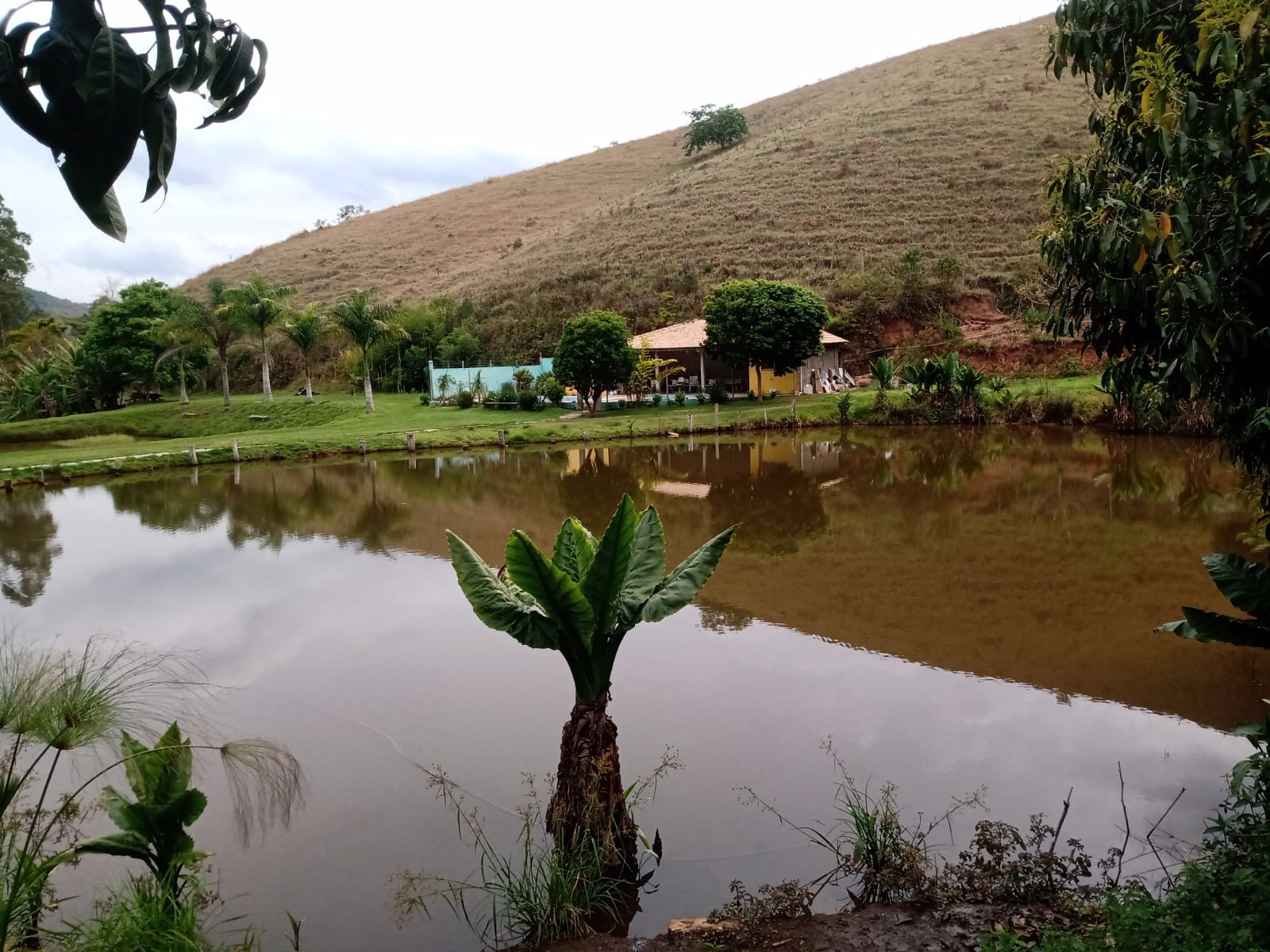 Sítio de 29 ha em Paraibuna, SP