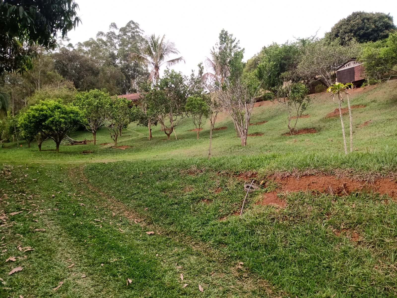 Sítio de 29 ha em Paraibuna, SP