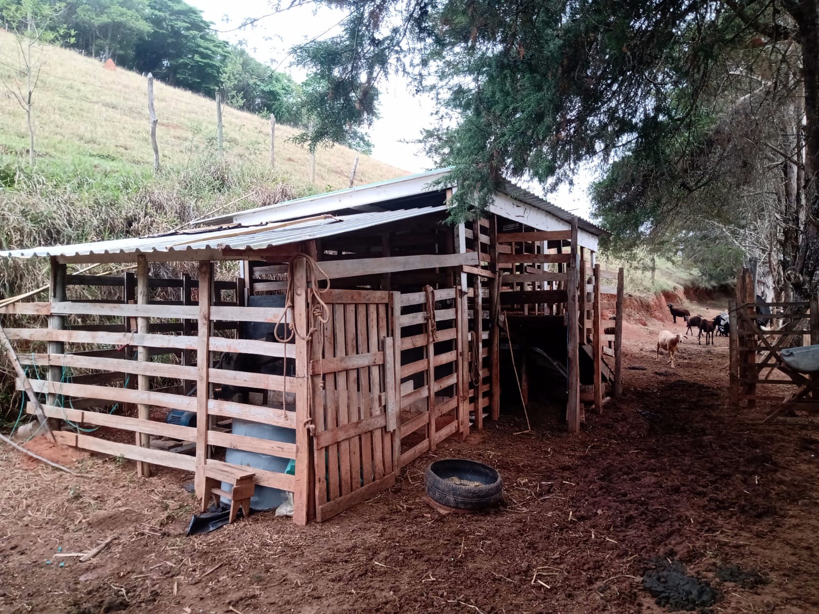 Sítio de 29 ha em Paraibuna, SP