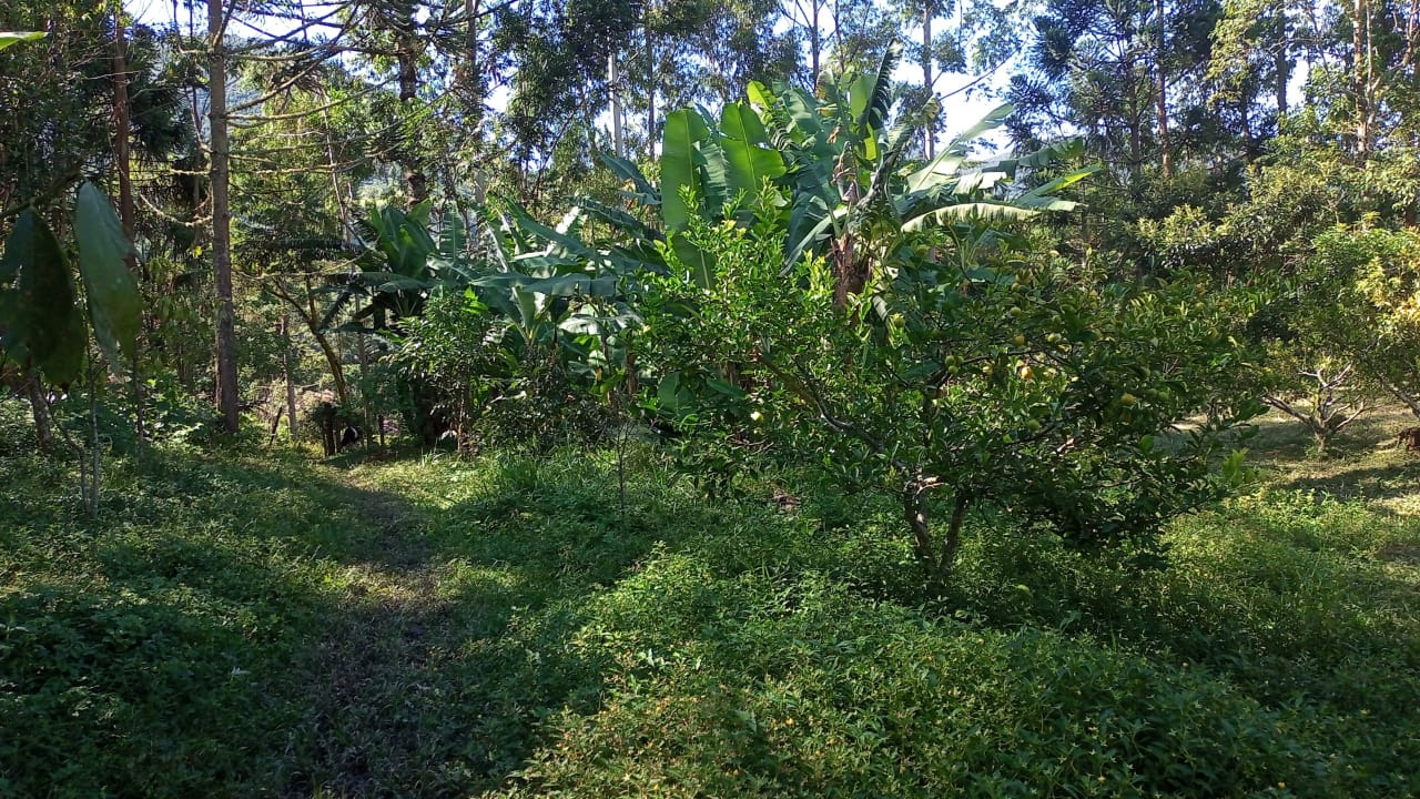 Chácara de 4 ha em São José dos Campos, SP