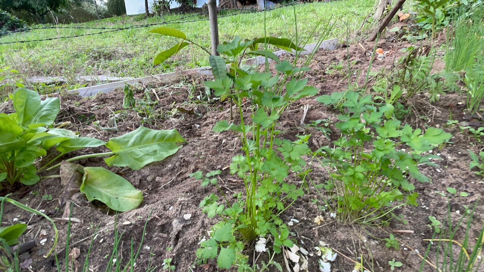 Terreno de 625 m² em Santo Antônio da Patrulha, RS