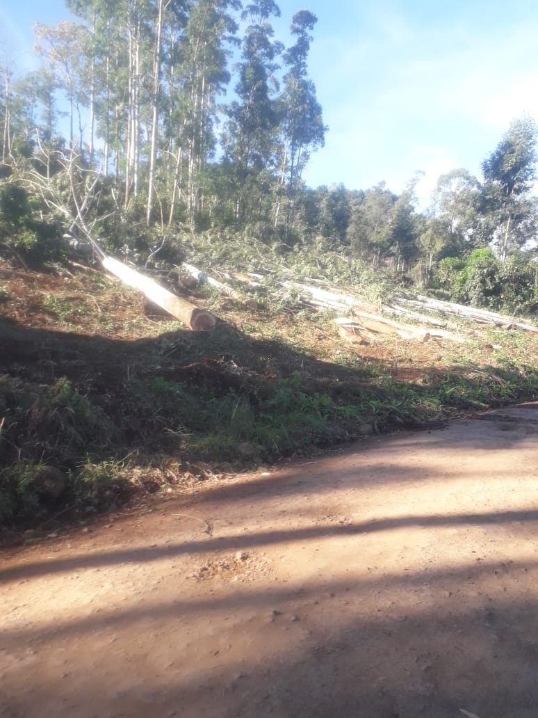 Chácara de 5.300 m² em Rolante, RS