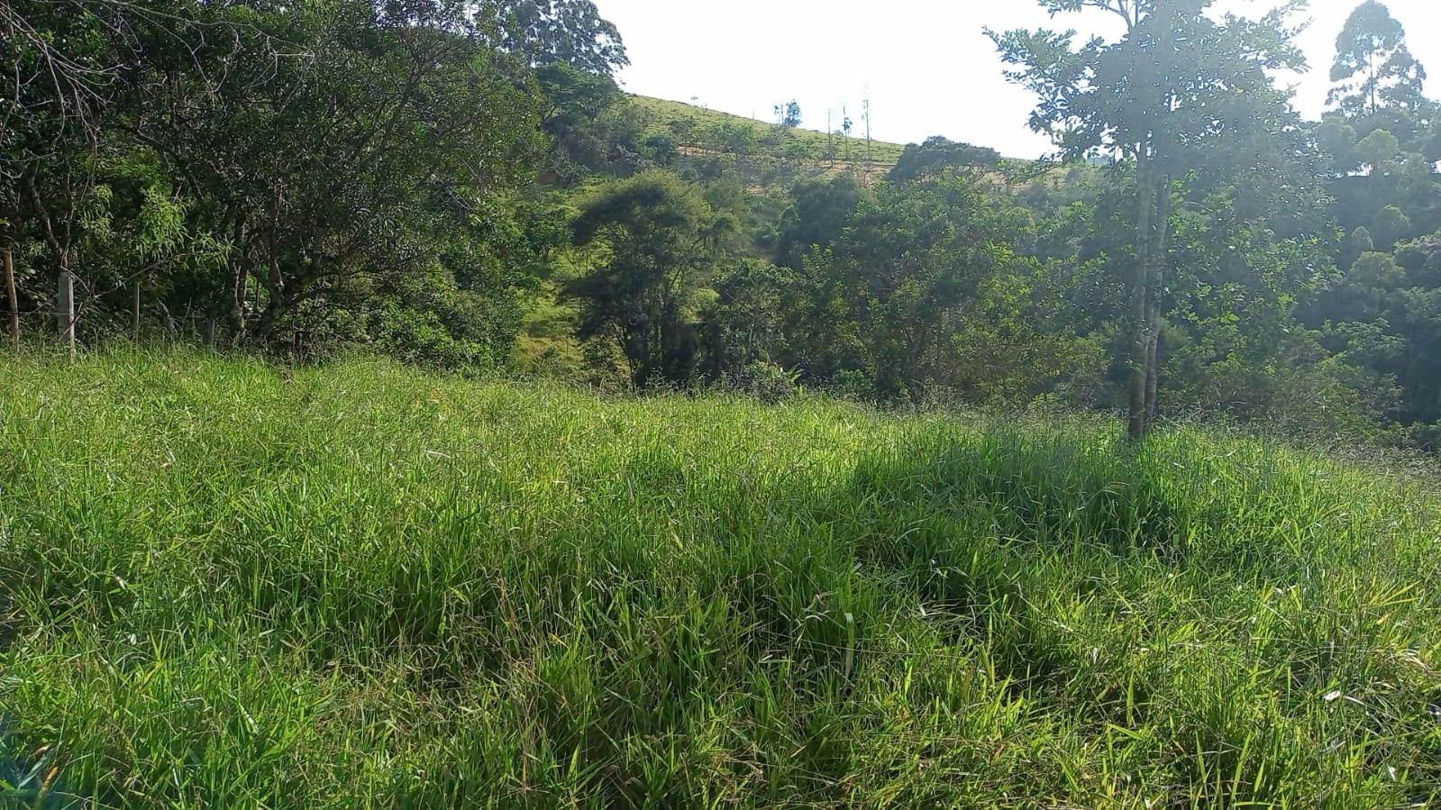 Terreno de 9 ha em São José dos Campos, SP