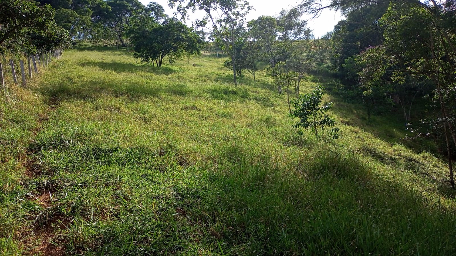 Terreno de 9 ha em São José dos Campos, SP