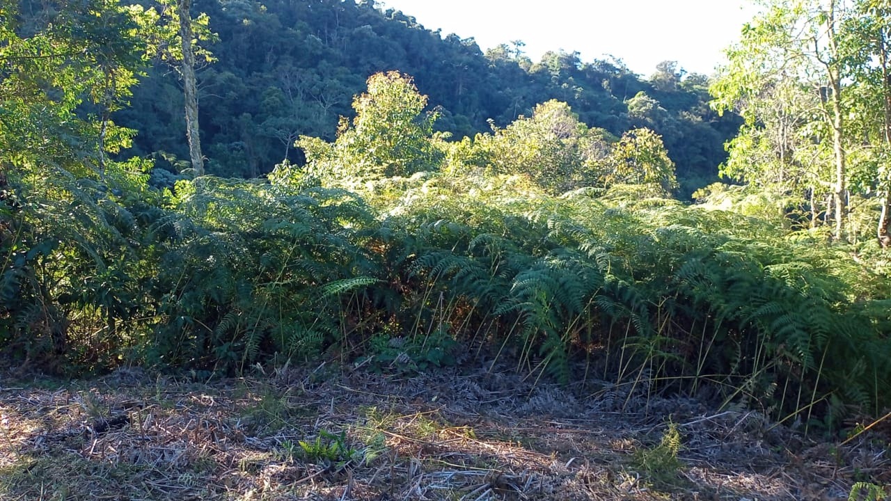 Sítio de 7 ha em São José dos Campos, SP