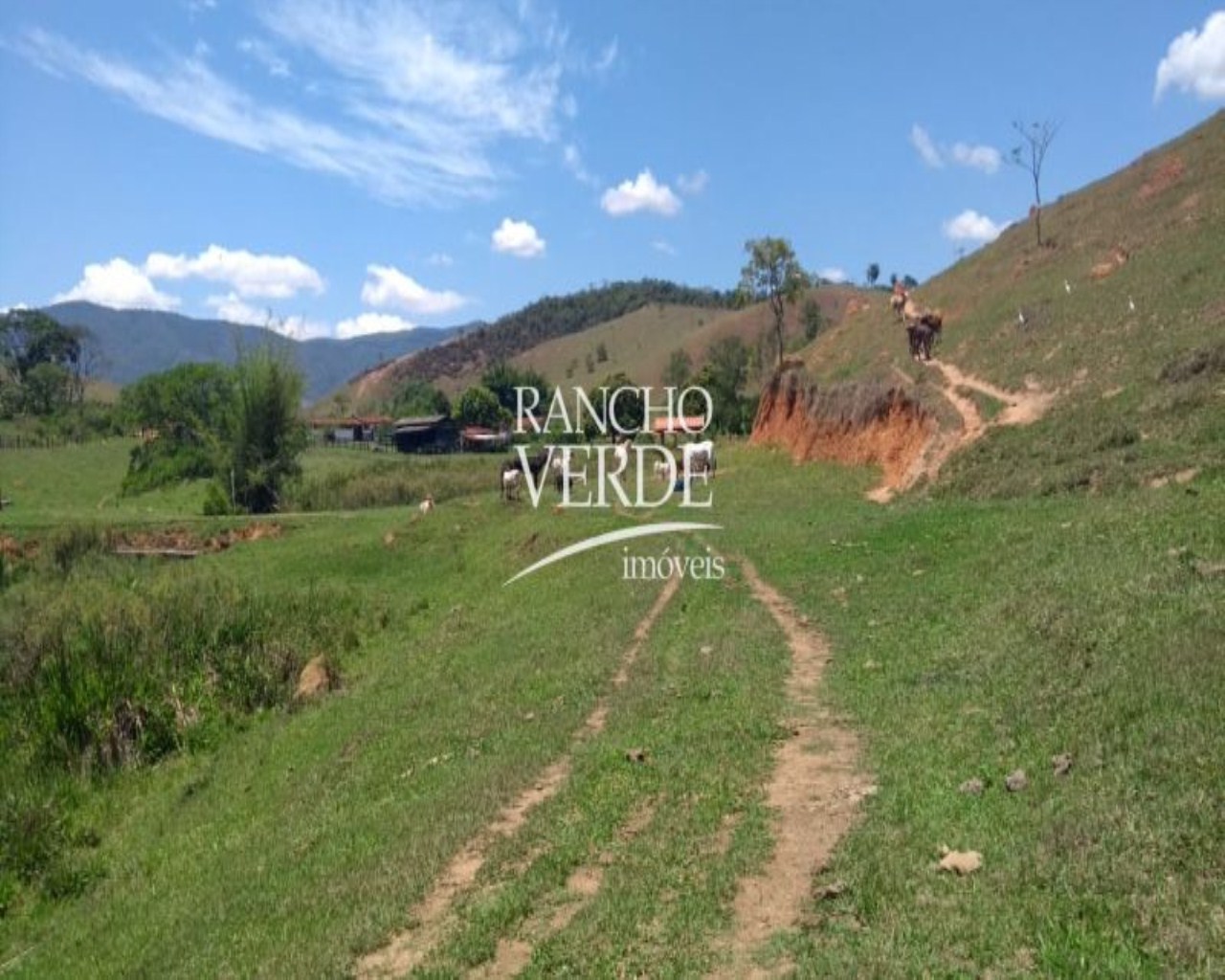 Fazenda de 54 ha em Aparecida, SP