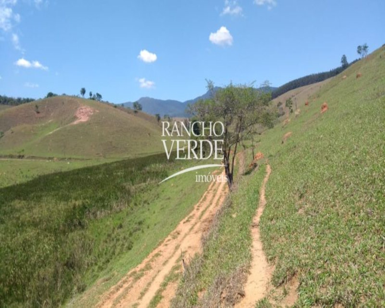 Fazenda de 54 ha em Aparecida, SP