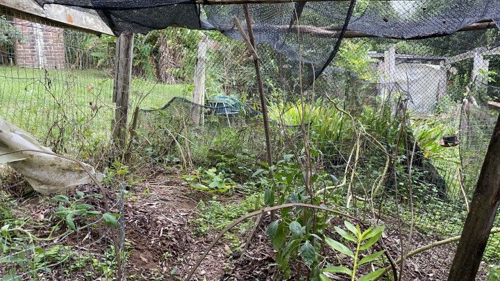 Chácara de 3 ha em Taquara, RS