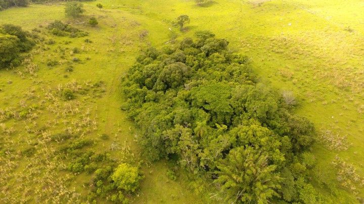 Terreno de 3 ha em Santo Antônio da Patrulha, RS