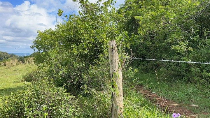 Terreno de 3 ha em Santo Antônio da Patrulha, RS