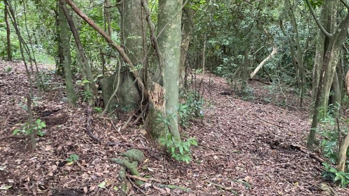 Terreno de 3 ha em Santo Antônio da Patrulha, RS