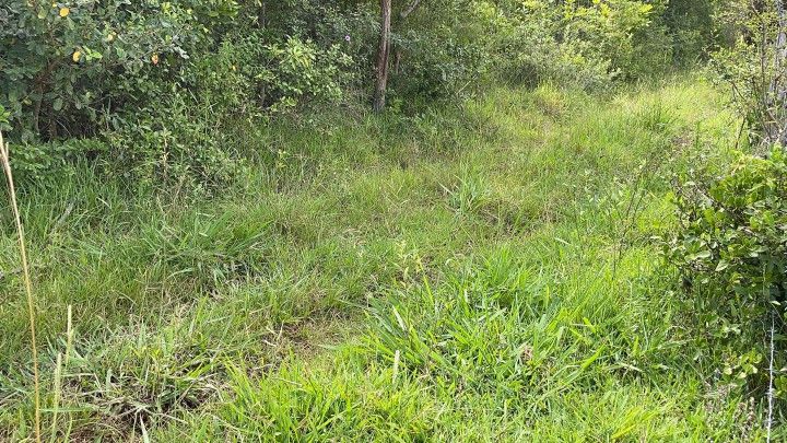 Terreno de 3 ha em Santo Antônio da Patrulha, RS