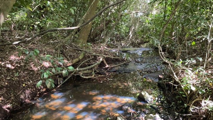 Terreno de 3 ha em Santo Antônio da Patrulha, RS