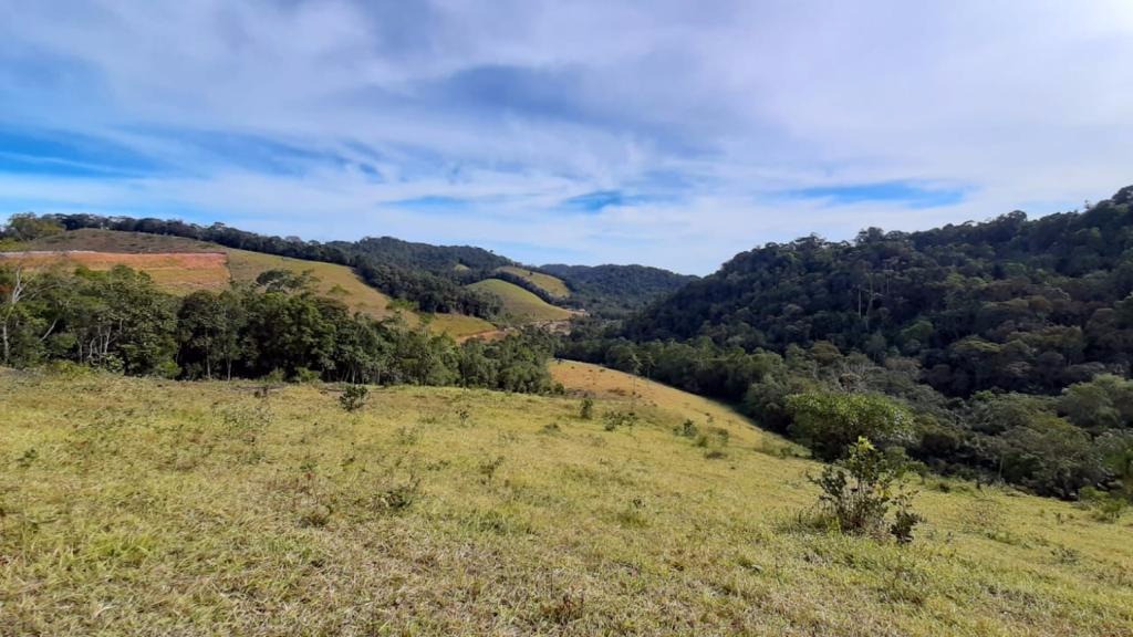 Sítio de 36 ha em Natividade da Serra, SP