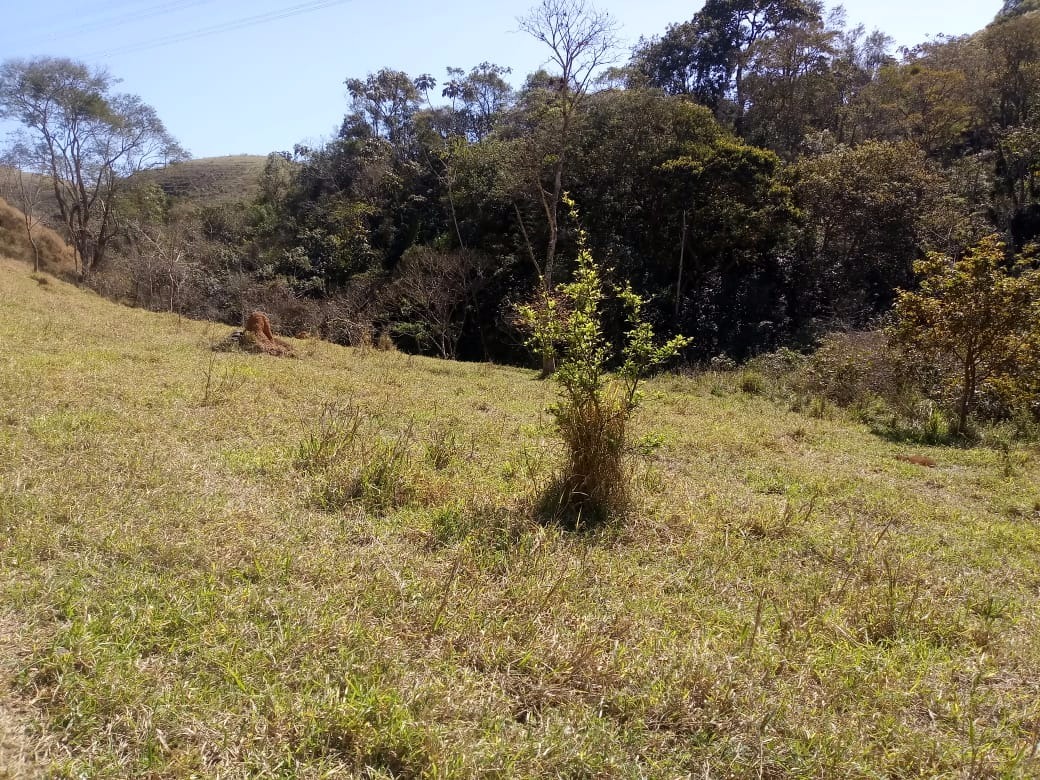 Sítio de 7 ha em Monteiro Lobato, SP