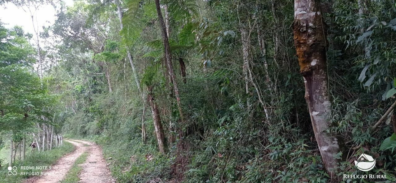 Terreno de 3 ha em Monteiro Lobato, SP