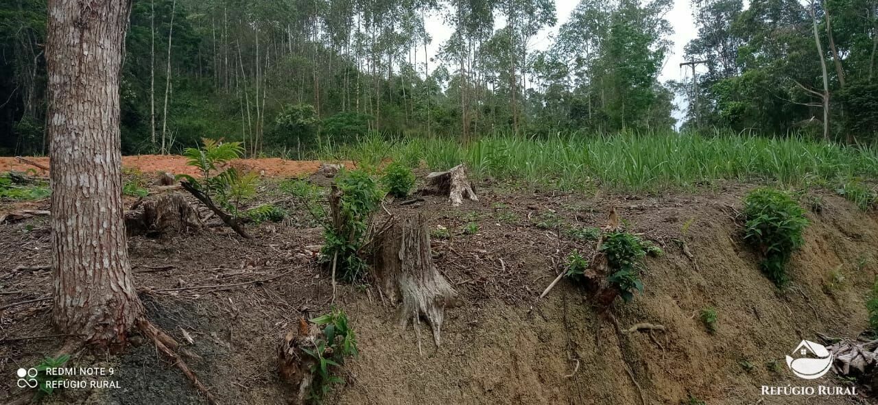 Terreno de 3 ha em Monteiro Lobato, SP