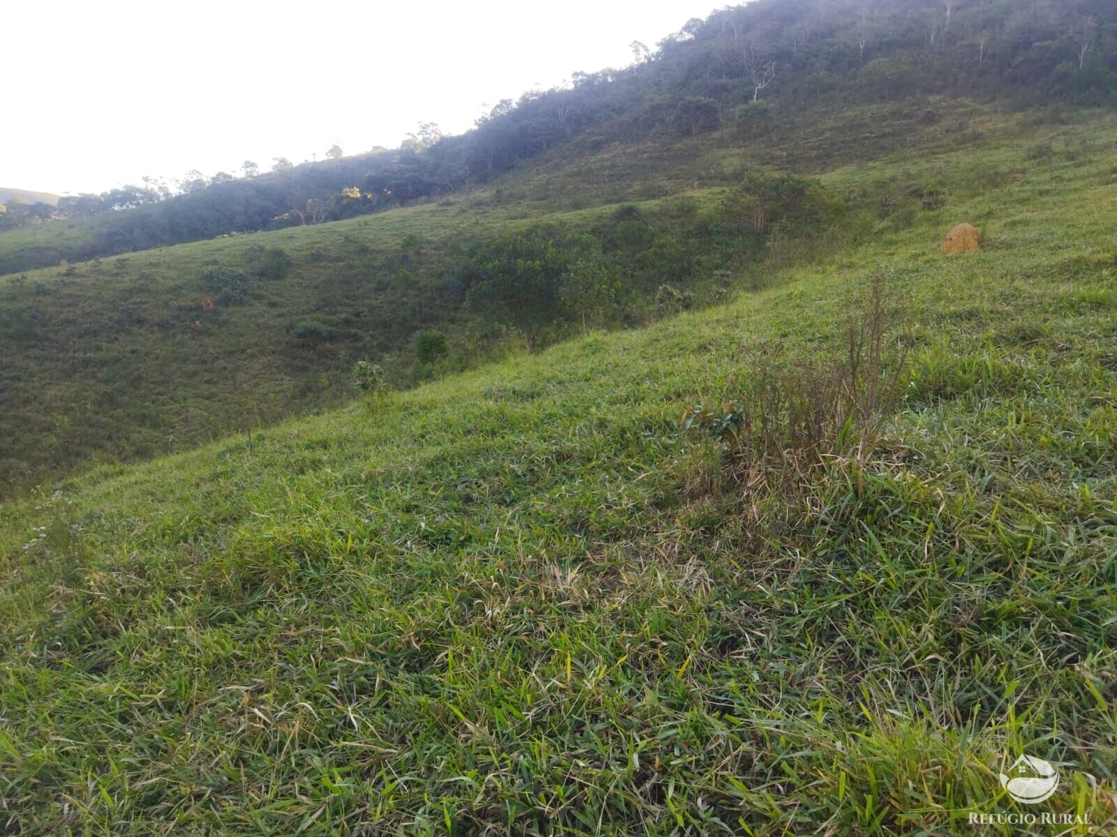 Terreno de 2 ha em São José dos Campos, SP