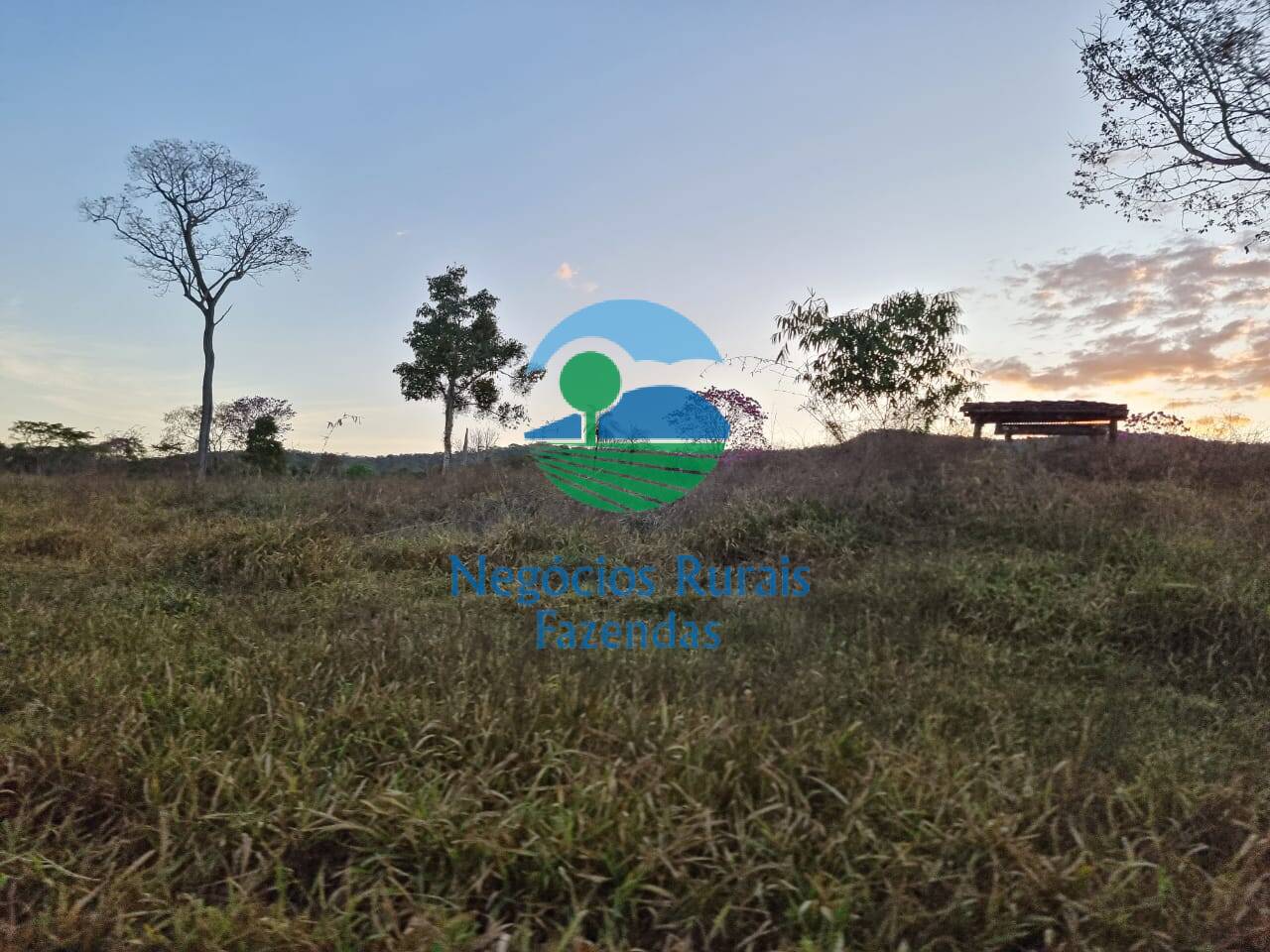 Fazenda de 1.210 ha em Campinaçu, GO