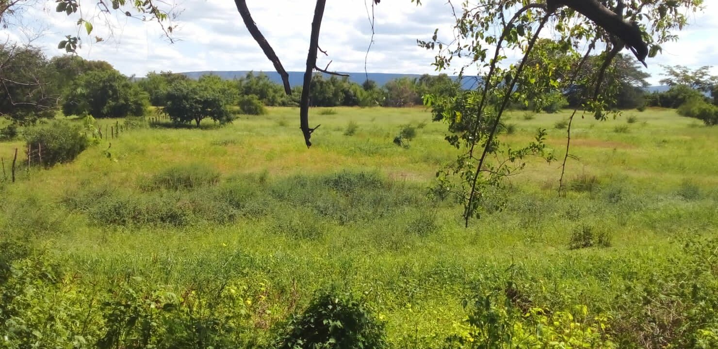 Fazenda de 137 ha em Ibotirama, BA