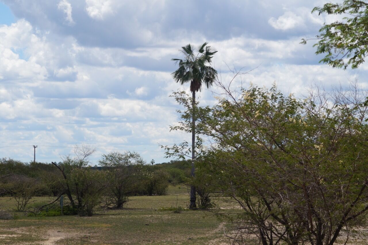 Fazenda de 137 ha em Ibotirama, BA