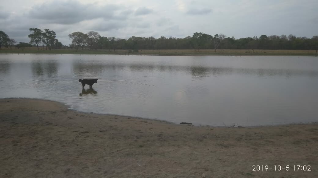 Fazenda de 137 ha em Ibotirama, BA