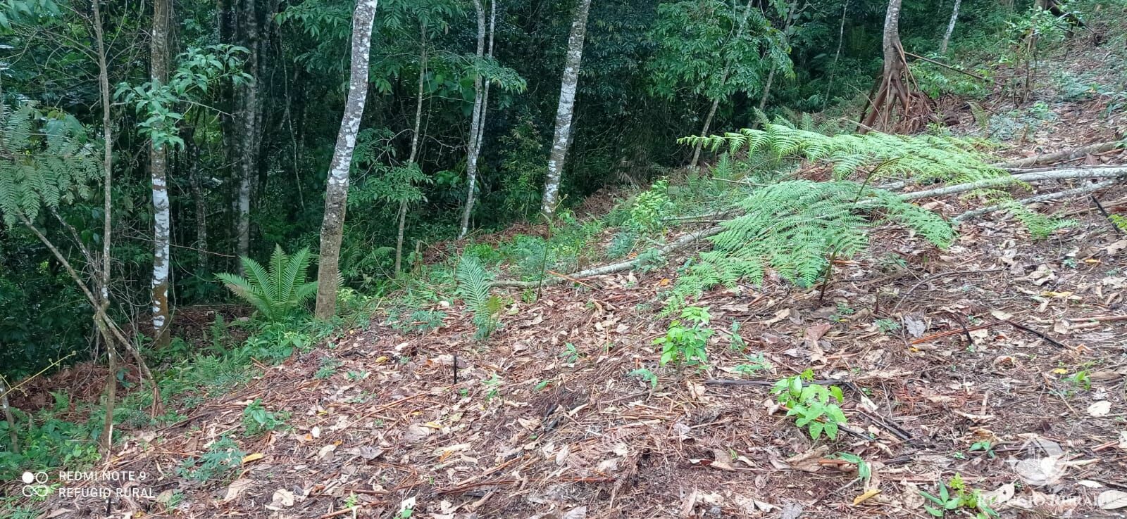 Terreno de 3 ha em São José dos Campos, SP