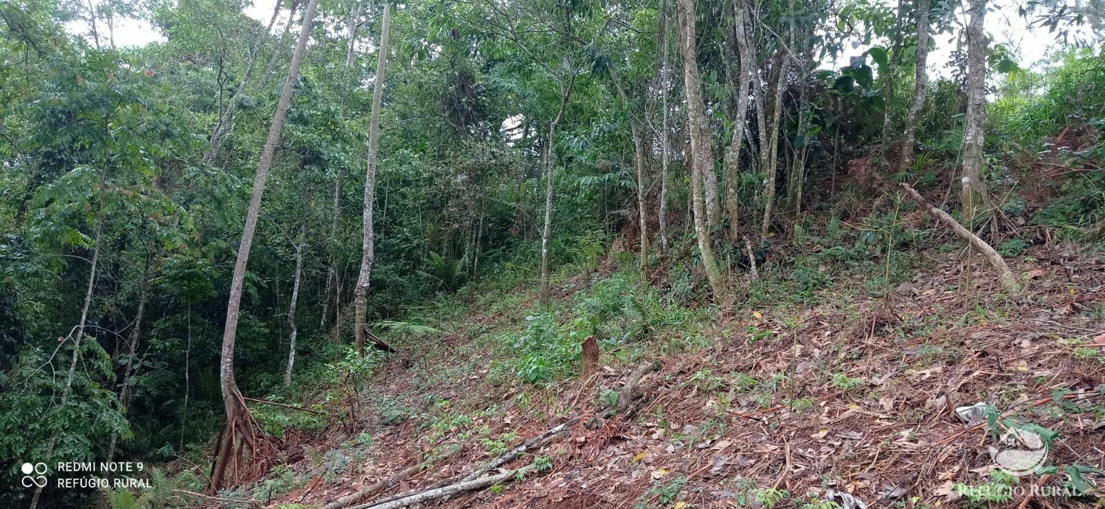 Terreno de 3 ha em São José dos Campos, SP