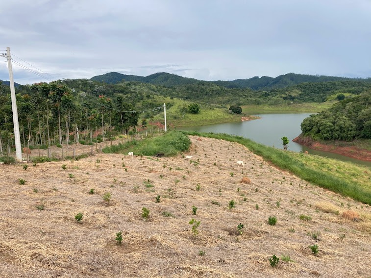 Chácara de 2 ha em Natividade da Serra, SP