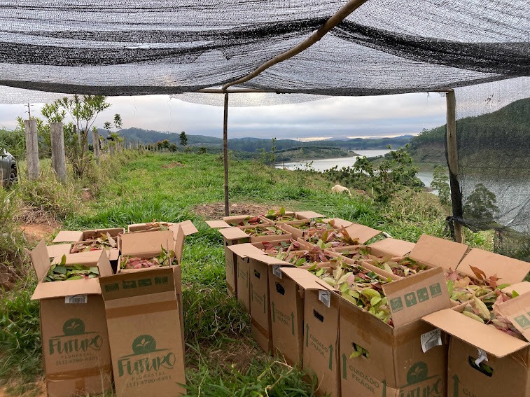 Chácara de 2 ha em Natividade da Serra, SP