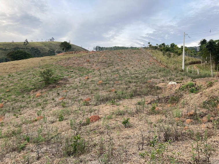 Chácara de 2 ha em Natividade da Serra, SP