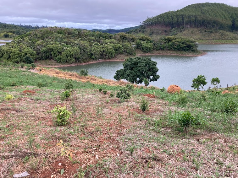 Chácara de 2 ha em Natividade da Serra, SP