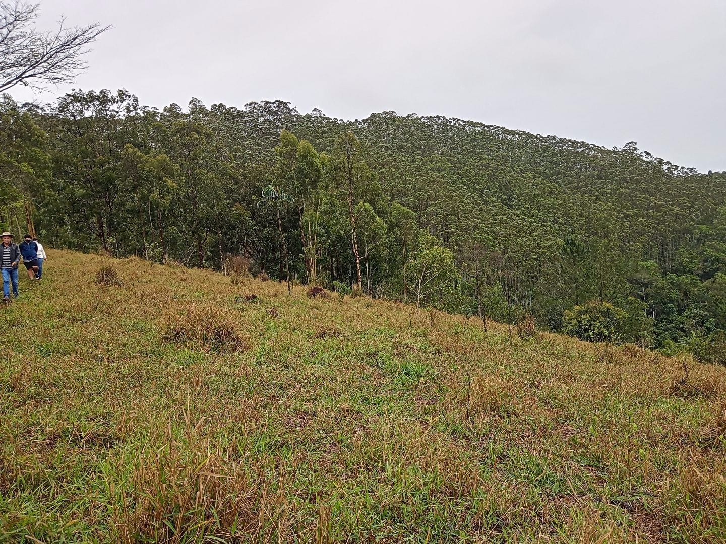 Terreno de 2 ha em São José dos Campos, SP