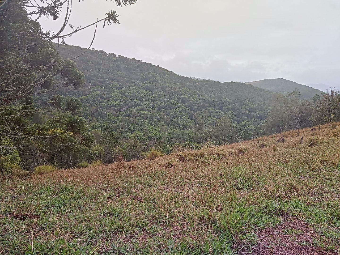 Terreno de 2 ha em São José dos Campos, SP