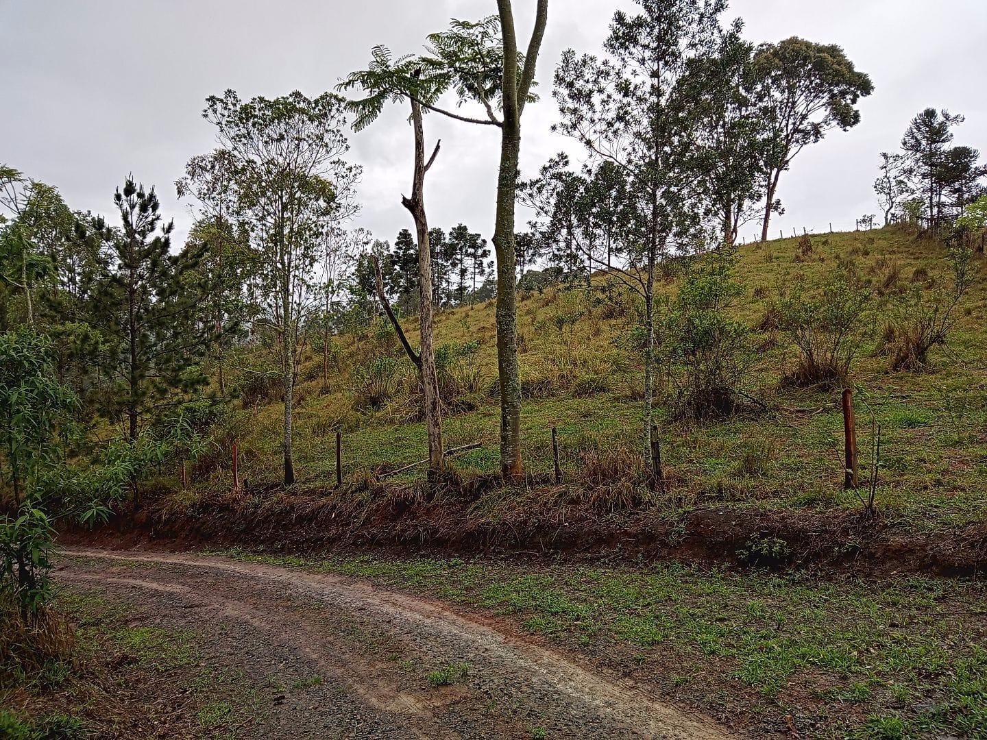 Terreno de 2 ha em São José dos Campos, SP