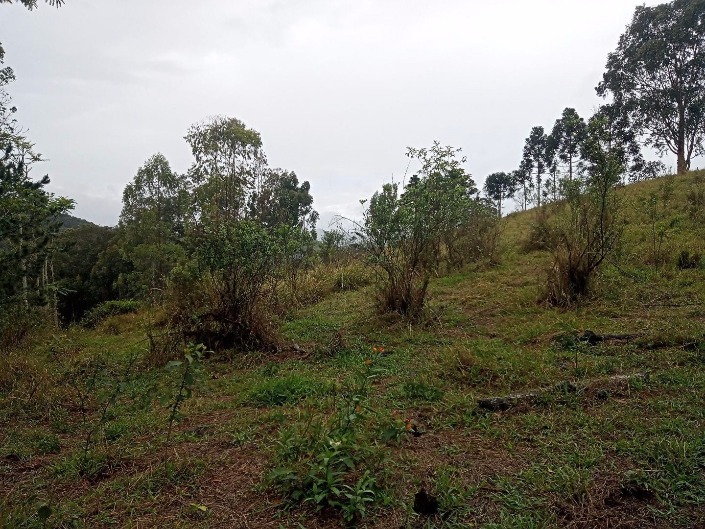 Terreno de 2 ha em São José dos Campos, SP