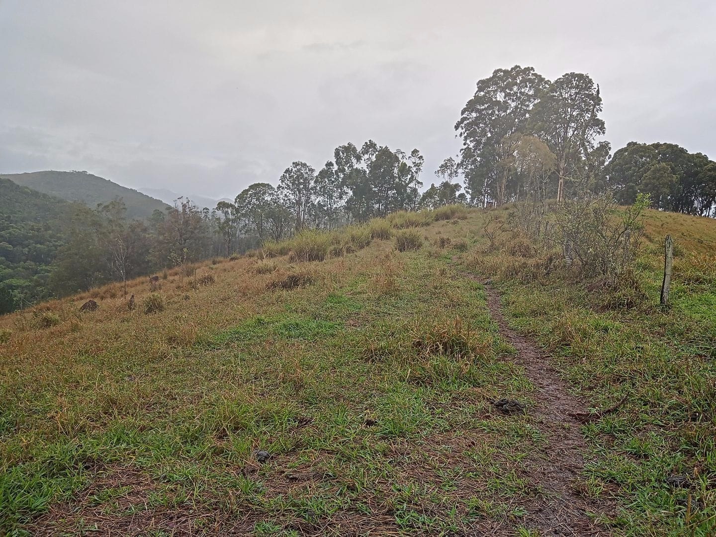 Terreno de 2 ha em São José dos Campos, SP