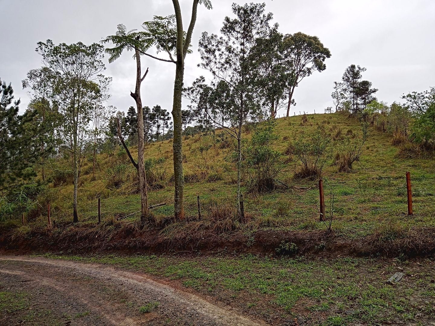 Terreno de 2 ha em São José dos Campos, SP