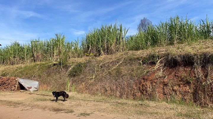 Chácara de 4.800 m² em Santo Antônio da Patrulha, RS