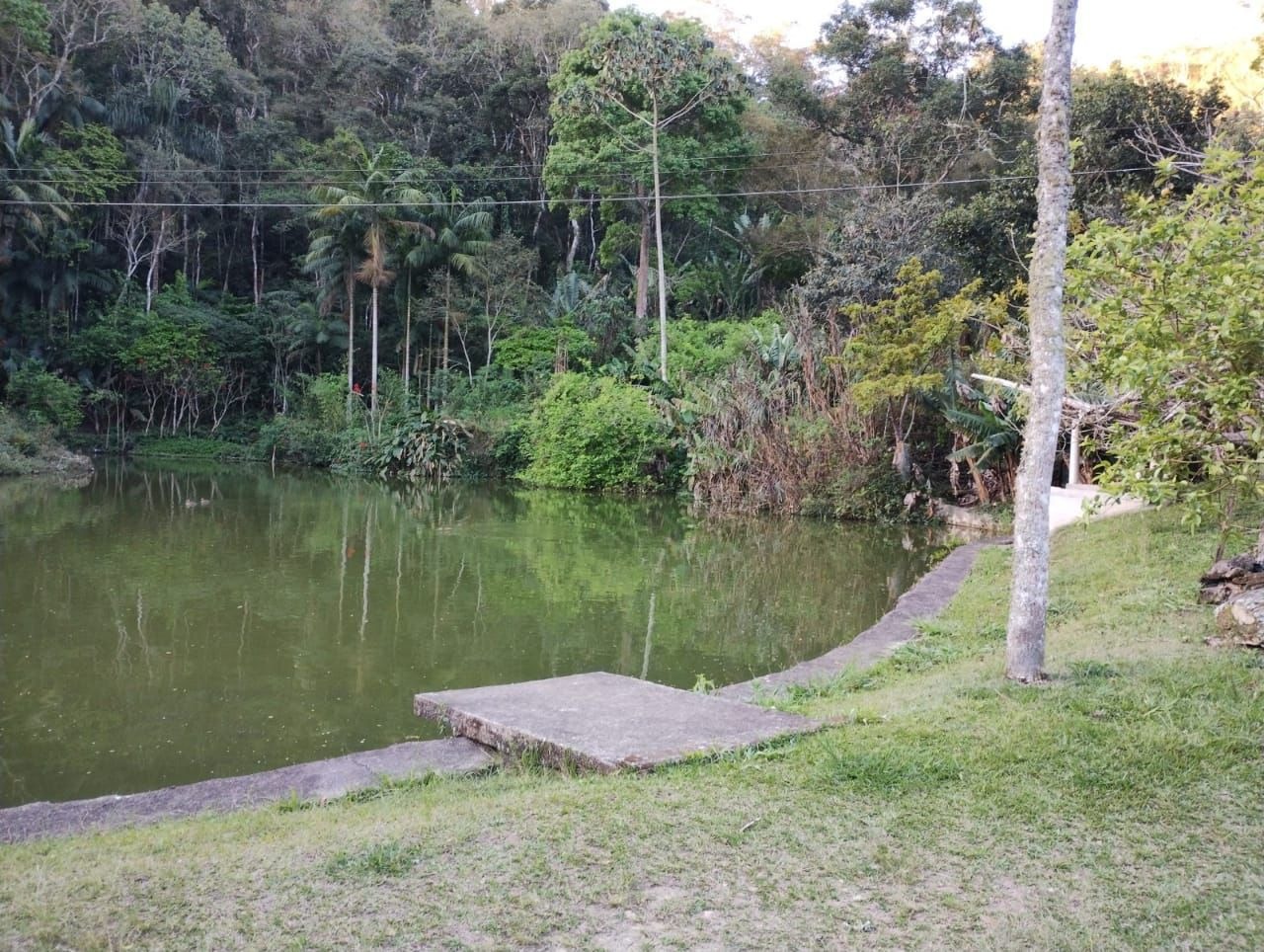 Sítio de 5 ha em Nazaré Paulista, SP