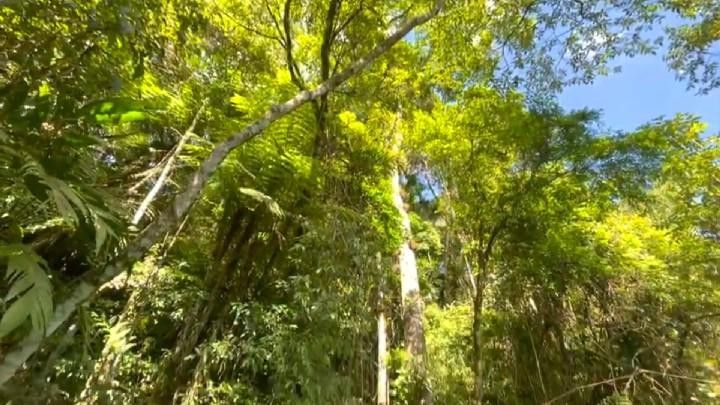 Sítio de 18 ha em São Bonifácio, SC