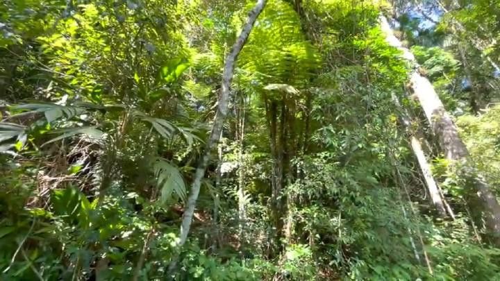 Sítio de 18 ha em São Bonifácio, SC