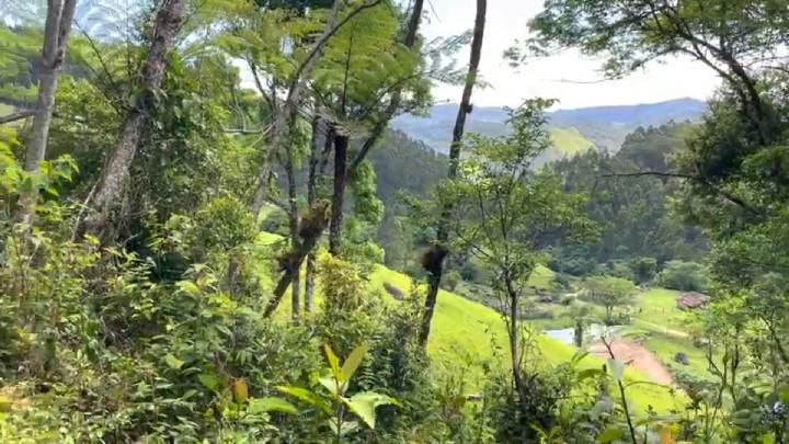 Sítio de 18 ha em São Bonifácio, SC