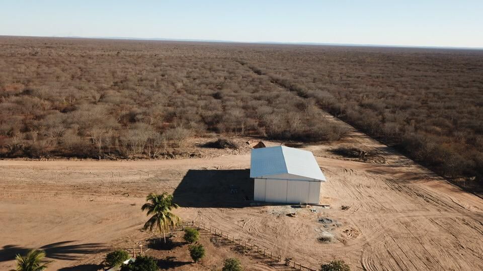 Fazenda de 4.081 ha em Barra, BA