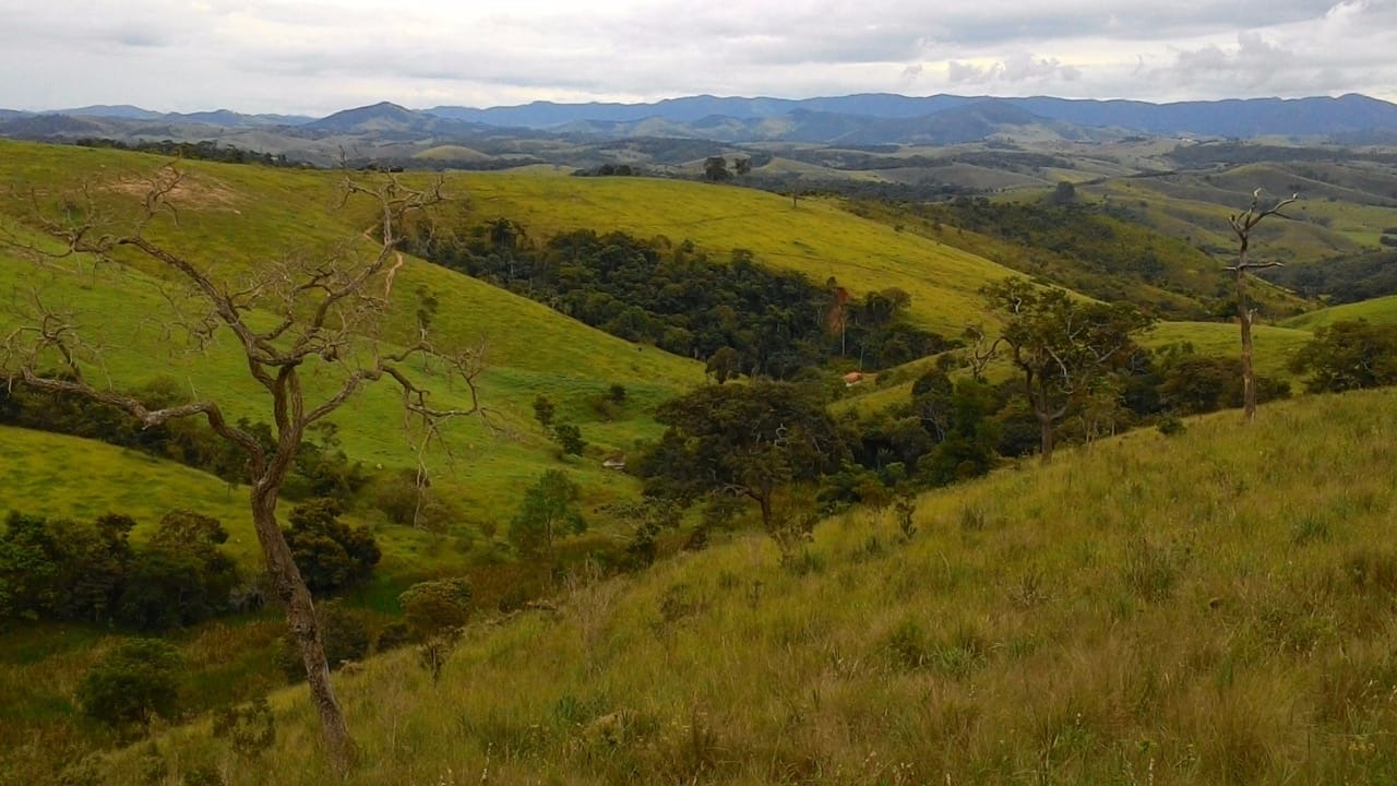 Fazenda de 73 ha em Lagoinha, SP