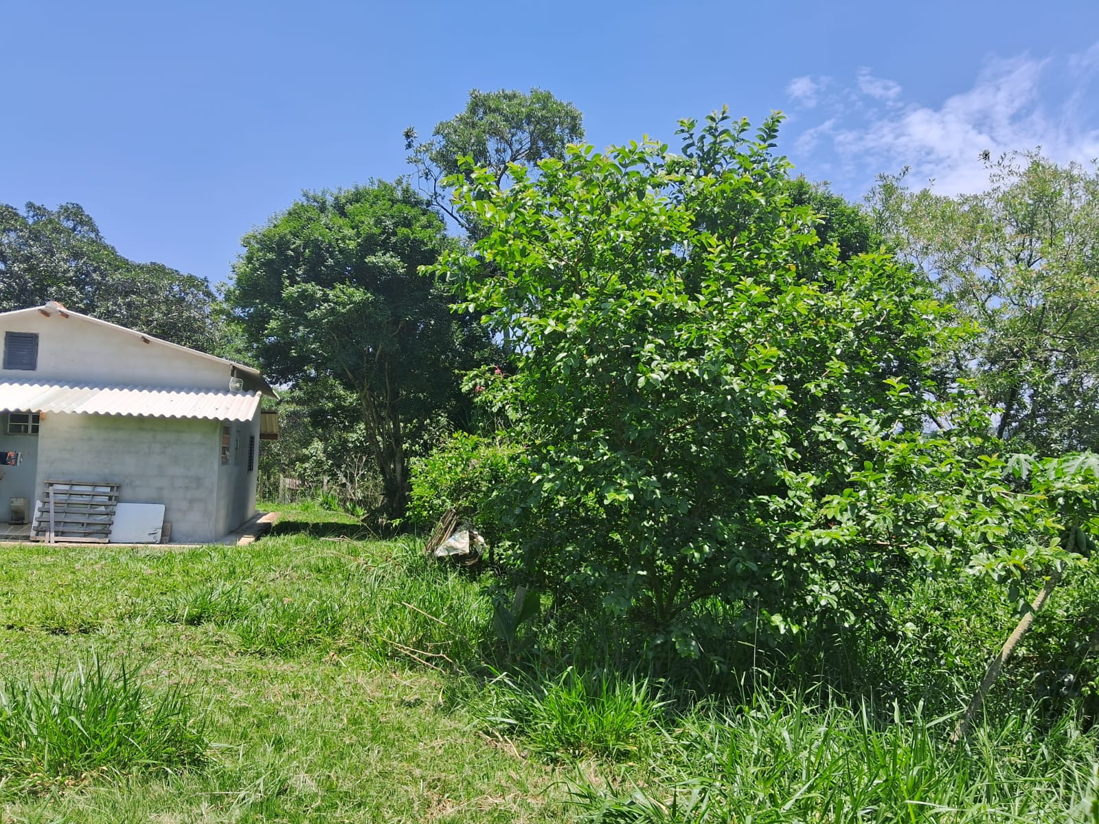 Chácara de 4 ha em São José dos Campos, SP