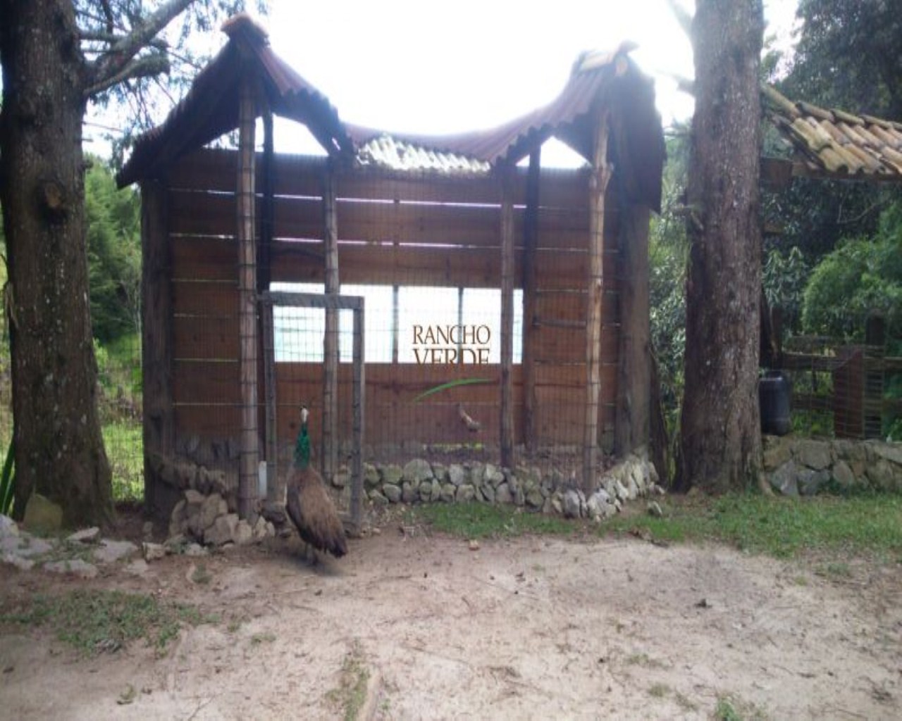 Chácara de 2.500 m² em Santo Antônio do Pinhal, SP