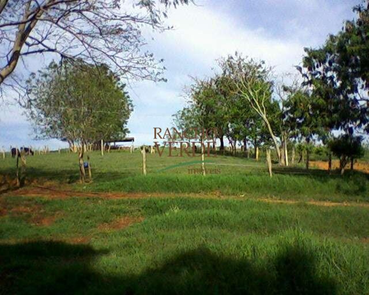 Fazenda de 660 ha em Cruzília, MG