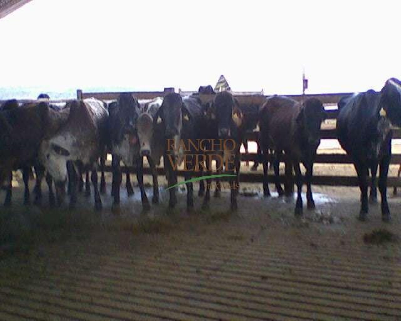 Fazenda de 660 ha em Cruzília, MG